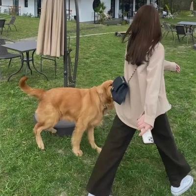 搜下留情粤语